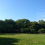 初夏の散歩はピクニック気分で近所の公園に出かけてみよう