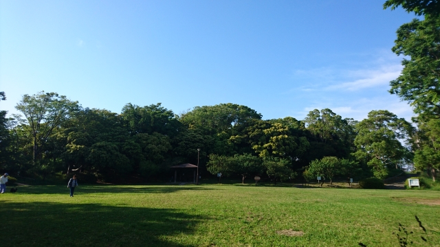 初夏の散歩はピクニック気分で近所の公園に出かけてみよう